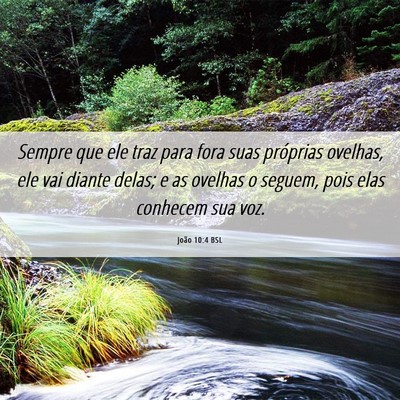 Picture 06 - João 10:4 BSL - Sempre que ele traz para fora suas próprias - Bible Verse Picture