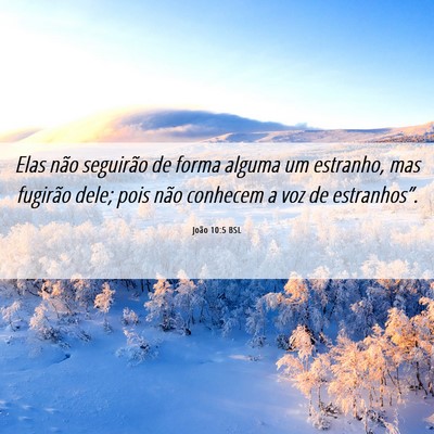 Picture 06 - João 10:5 BSL - Elas não seguirão de forma alguma um estranho, - Bible Verse Picture