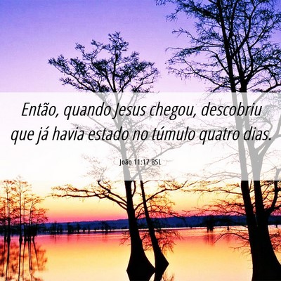 Picture 06 - João 11:17 BSL - Então, quando Jesus chegou, descobriu que já - Bible Verse Picture