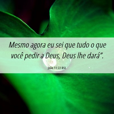 Picture 06 - João 11:22 BSL - Mesmo agora eu sei que tudo o que você pedir a - Bible Verse Picture