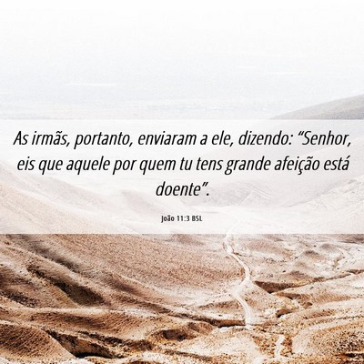 Picture 06 - João 11:3 BSL - As irmãs, portanto, enviaram a ele, dizendo: - Bible Verse Picture