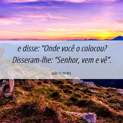 Picture 06 - João 11:34 BSL - e disse: “Onde você o colocou? Disseram-lhe: - Bible Verse Picture