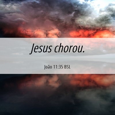 Picture 06 - João 11:35 BSL - Jesus - Bible Verse Picture