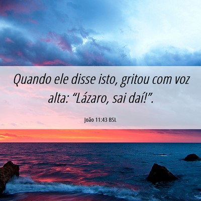 Picture 06 - João 11:43 BSL - Quando ele disse isto, gritou com voz alta: - Bible Verse Picture