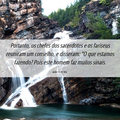 Picture 06 - João 11:47 BSL - Portanto, os chefes dos sacerdotes e os fariseus - Bible Verse Picture