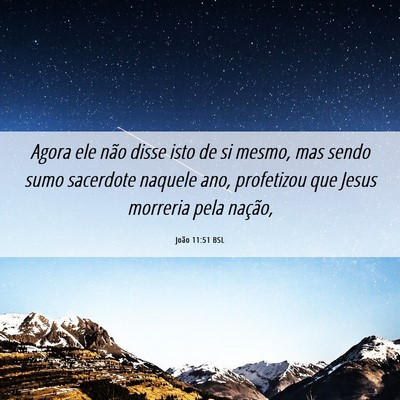 Picture 06 - João 11:51 BSL - Agora ele não disse isto de si mesmo, mas sendo - Bible Verse Picture