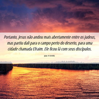Picture 06 - João 11:54 BSL - Portanto, Jesus não andou mais abertamente entre - Bible Verse Picture