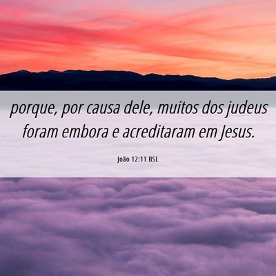 Picture 06 - João 12:11 BSL - porque, por causa dele, muitos dos judeus foram - Bible Verse Picture