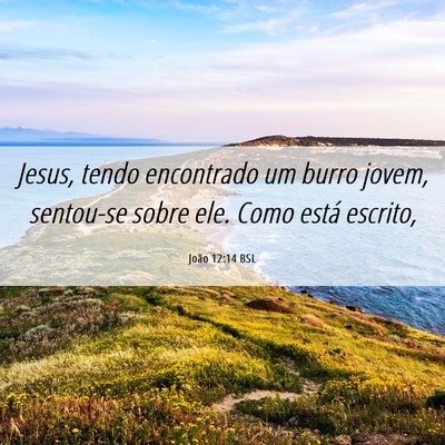 Picture 06 - João 12:14 BSL - Jesus, tendo encontrado um burro jovem, sentou-se - Bible Verse Picture