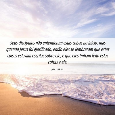 Picture 06 - João 12:16 BSL - Seus discípulos não entenderam estas coisas no - Bible Verse Picture