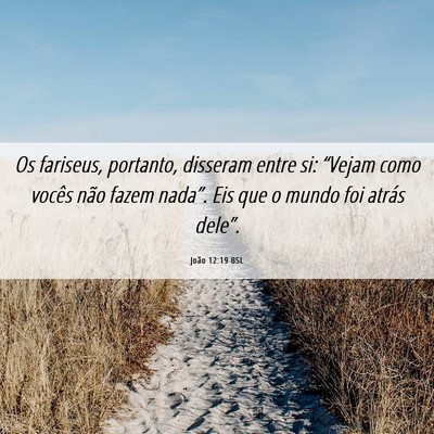 Picture 06 - João 12:19 BSL - Os fariseus, portanto, disseram entre si: - Bible Verse Picture