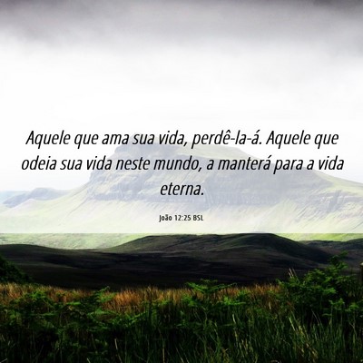 Picture 06 - João 12:25 BSL - Aquele que ama sua vida, perdê-la-á. Aquele que - Bible Verse Picture