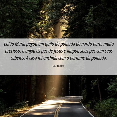 Picture 06 - João 12:3 BSL - Então Maria pegou um quilo de pomada de nardo - Bible Verse Picture