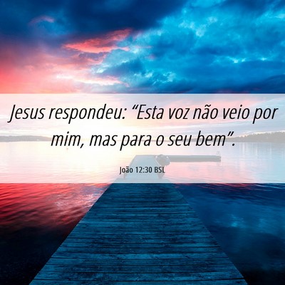 Picture 06 - João 12:30 BSL - Jesus respondeu: “Esta voz não veio por mim, - Bible Verse Picture
