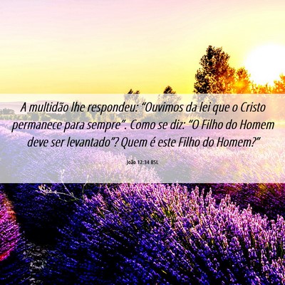 Picture 06 - João 12:34 BSL - A multidão lhe respondeu: “Ouvimos da lei que - Bible Verse Picture