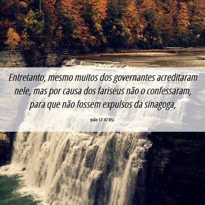 Picture 06 - João 12:42 BSL - Entretanto, mesmo muitos dos governantes - Bible Verse Picture