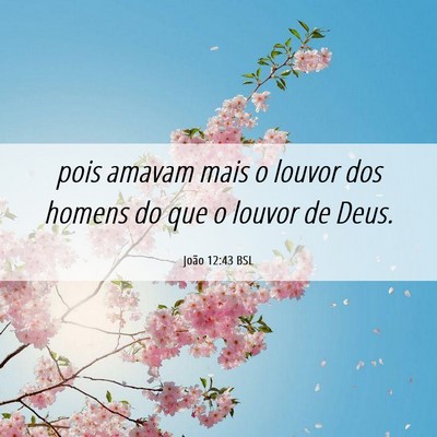Picture 06 - João 12:43 BSL - pois amavam mais o louvor dos homens do que o - Bible Verse Picture