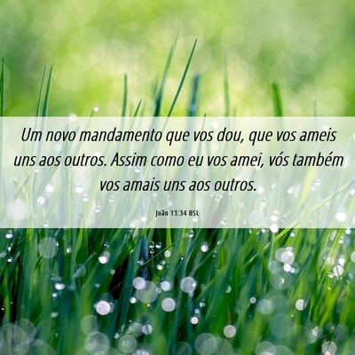 Picture 06 - João 13:34 BSL - Um novo mandamento que vos dou, que vos ameis uns - Bible Verse Picture