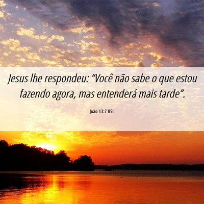 Picture 06 - João 13:7 BSL - Jesus lhe respondeu: “Você não sabe o que - Bible Verse Picture