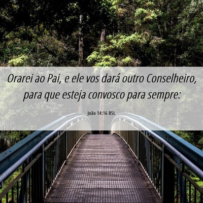 Picture 06 - João 14:16 BSL - Orarei ao Pai, e ele vos dará outro Conselheiro, - Bible Verse Picture
