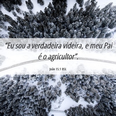 Picture 06 - João 15:1 BSL - “Eu sou a verdadeira videira, e meu Pai é o - Bible Verse Picture