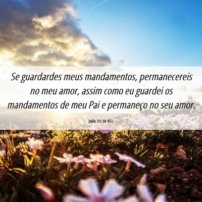 Picture 06 - João 15:10 BSL - Se guardardes meus mandamentos, permanecereis no - Bible Verse Picture