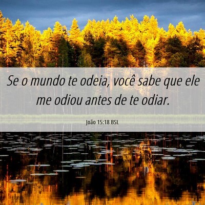 Picture 06 - João 15:18 BSL - Se o mundo te odeia, você sabe que ele me odiou - Bible Verse Picture