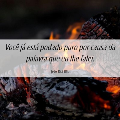 Picture 06 - João 15:3 BSL - Você já está podado puro por causa da palavra - Bible Verse Picture