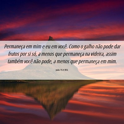 Picture 06 - João 15:4 BSL - Permaneça em mim e eu em você. Como o galho - Bible Verse Picture