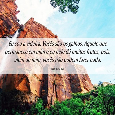 Picture 06 - João 15:5 BSL - Eu sou a videira. Vocês são os galhos. Aquele - Bible Verse Picture