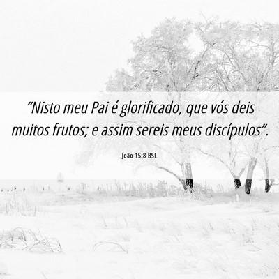 Picture 06 - João 15:8 BSL - “Nisto meu Pai é glorificado, que vós deis - Bible Verse Picture