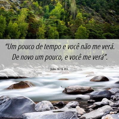 Picture 06 - João 16:16 BSL - “Um pouco de tempo e você não me verá. De - Bible Verse Picture