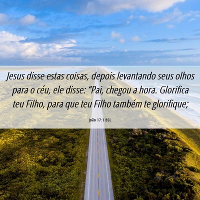 Picture 06 - João 17:1 BSL - Jesus disse estas coisas, depois levantando seus - Bible Verse Picture