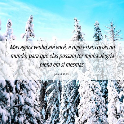 Picture 06 - João 17:13 BSL - Mas agora venho até você, e digo estas coisas - Bible Verse Picture