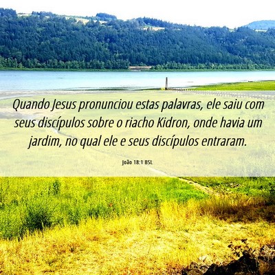 Picture 06 - João 18:1 BSL - Quando Jesus pronunciou estas palavras, ele saiu - Bible Verse Picture
