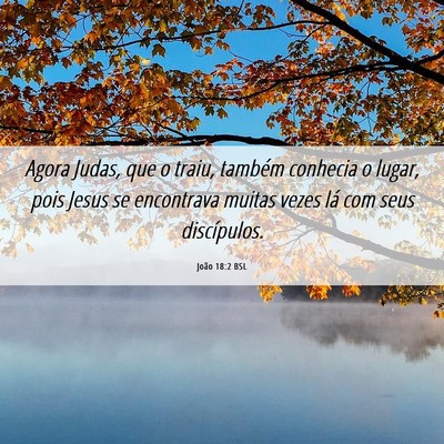 Picture 06 - João 18:2 BSL - Agora Judas, que o traiu, também conhecia o - Bible Verse Picture