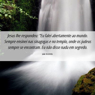 Picture 06 - João 18:20 BSL - Jesus lhe respondeu: “Eu falei abertamente ao - Bible Verse Picture