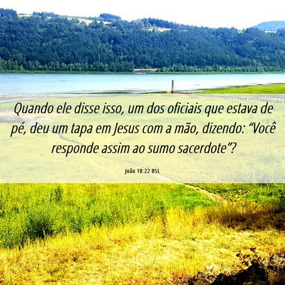 Picture 06 - João 18:22 BSL - Quando ele disse isso, um dos oficiais que estava - Bible Verse Picture