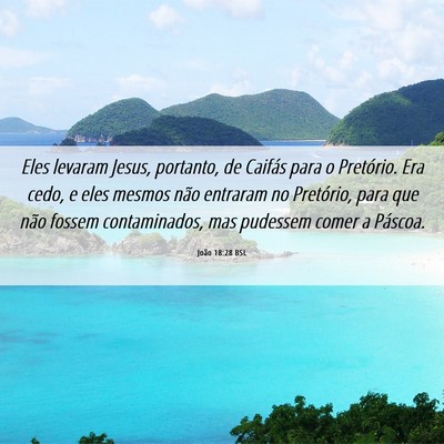 Picture 06 - João 18:28 BSL - Eles levaram Jesus, portanto, de Caifás para o - Bible Verse Picture