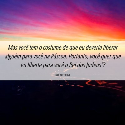 Picture 06 - João 18:39 BSL - Mas você tem o costume de que eu deveria liberar - Bible Verse Picture