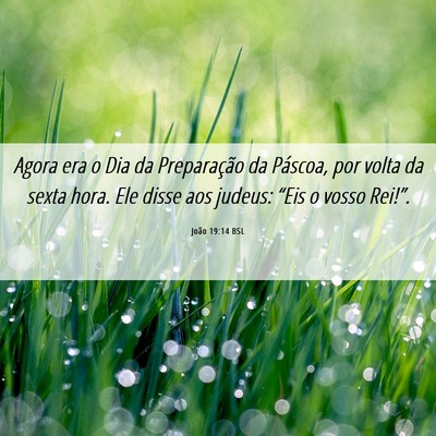 Picture 06 - João 19:14 BSL - Agora era o Dia da Preparação da Páscoa, por - Bible Verse Picture