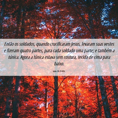 Picture 06 - João 19:23 BSL - Então os soldados, quando crucificaram Jesus, - Bible Verse Picture