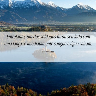 Picture 06 - João 19:34 BSL - Entretanto, um dos soldados furou seu lado com - Bible Verse Picture