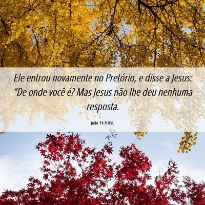 Picture 06 - João 19:9 BSL - Ele entrou novamente no Pretório, e disse a - Bible Verse Picture