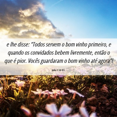 Picture 06 - João 2:10 BSL - e lhe disse: “Todos servem o bom vinho - Bible Verse Picture
