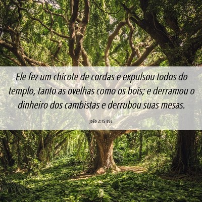 Picture 06 - João 2:15 BSL - Ele fez um chicote de cordas e expulsou todos do - Bible Verse Picture