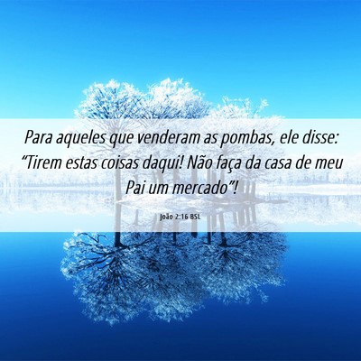 Picture 06 - João 2:16 BSL - Para aqueles que venderam as pombas, ele disse: - Bible Verse Picture