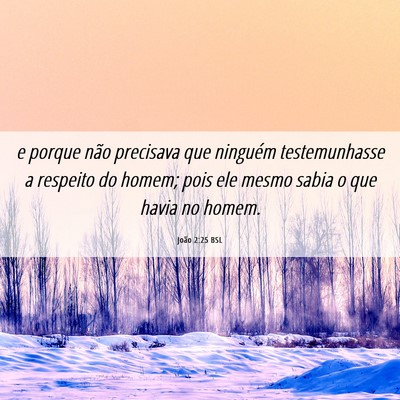 Picture 06 - João 2:25 BSL - e porque não precisava que ninguém - Bible Verse Picture
