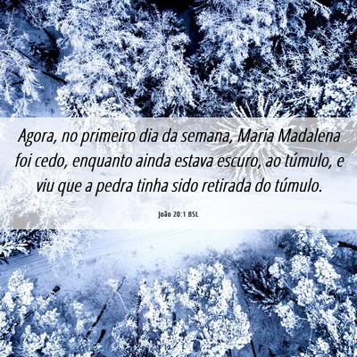 Picture 06 - João 20:1 BSL - Agora, no primeiro dia da semana, Maria Madalena - Bible Verse Picture