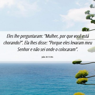 Picture 06 - João 20:13 BSL - Eles lhe perguntaram: “Mulher, por que você - Bible Verse Picture